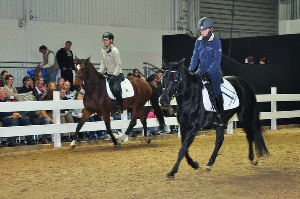 Pferd u Jagd   082.jpg